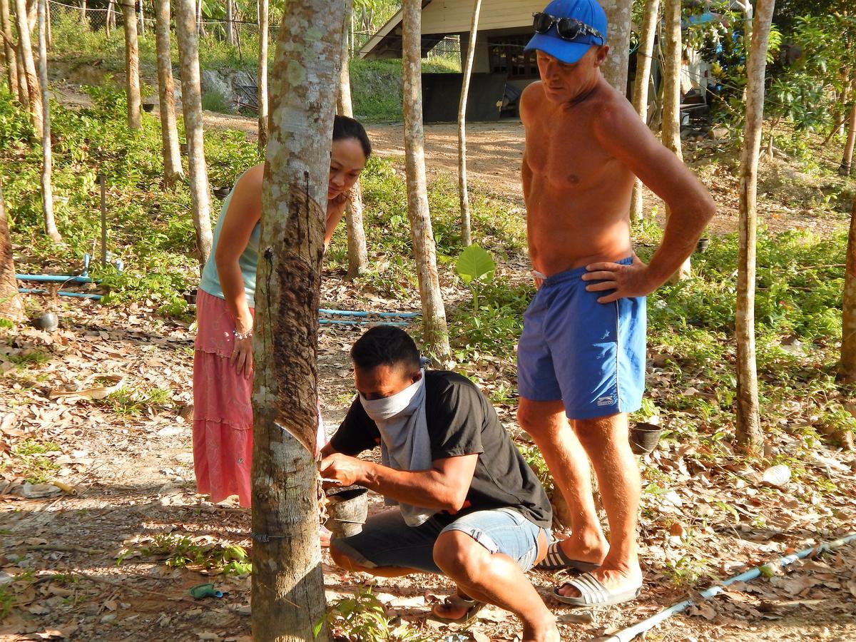 Rubber Tree Resort Ko Lanta Extérieur photo